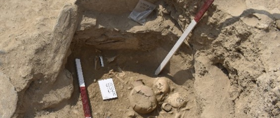 Přednáška | Recent Archaeological Discoveries from Pakistan